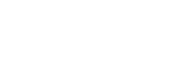 Nexus Power logo